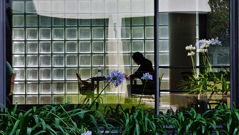 图片——一个女孩的剪影,阅读800px x 451px